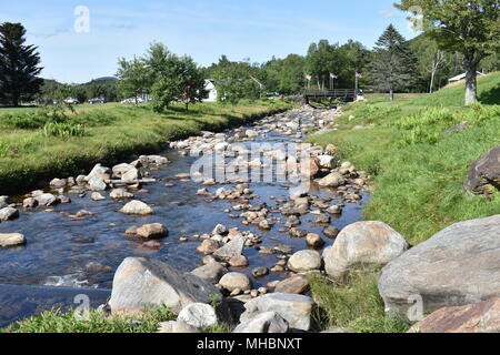 Coulisses le long de la route Auto Mont Washington dans le New Hampshire (États-Unis) Banque D'Images