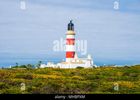 Point d'Ayre phare, Ile de Man, Royaume-Uni Banque D'Images