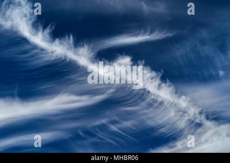 Plumes ébouriffées vent nuages (cirrus) en face d'un ciel bleu, Rhénanie du Nord-Westphalie, Allemagne Banque D'Images