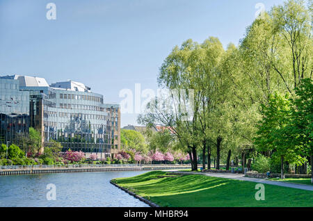 Rives de la Spree avec la façade reflétant des bâtiments de Skandia Insurance Company et arbres en fleurs au printemps à Berlin, Ger Banque D'Images