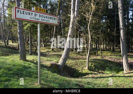 L'emplacement de l'village détruit Fleury-devant-Douaumont, entonnoir grenade envahies par la forêt, en signe d'avertissement avant de Banque D'Images