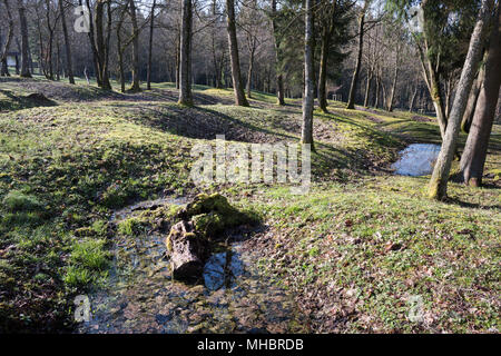 L'emplacement de l'village détruit Fleury-devant-Douaumont, entonnoir grenade envahies par la forêt, champ de bataille de Verdun Banque D'Images