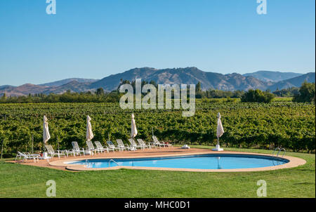 Jardin paysager et piscine dans les vignes, l'Hotel TerraVina, Santa Cruz, région viticole de la vallée de Colchagua, Chili, Amérique du Sud Banque D'Images