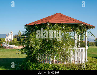 Jardin paysager avec gazebo et une piscine, l'Hotel TerraVina, Santa Cruz, région viticole de la vallée de Colchagua, Chili, Amérique du Sud Banque D'Images