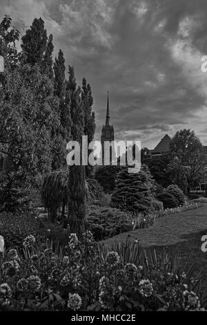 Cathédrale de Saint Jean Baptiste à Wroclaw, vu depuis le célèbre jardin botanique (Kathedrale St. Johannes / Archikatedra św. Jana Chrzciciela) Banque D'Images