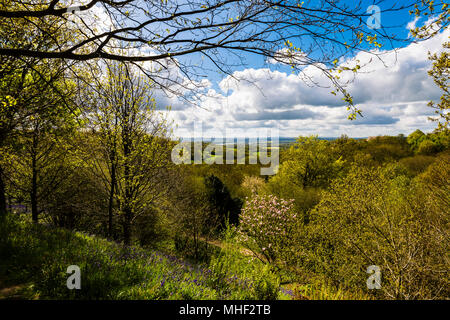 Vue sur la vallée de Emmetts Garden, Kent, UK Banque D'Images