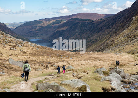 Les randonneurs randonnée dans la pittoresque vallée de la Glenealo route blanc suivant trail à Glendalough Parc, comté de Wicklow, Irlande Banque D'Images