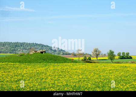 Pissenlit fleur champ avec un megalite tombe sur une colline Banque D'Images