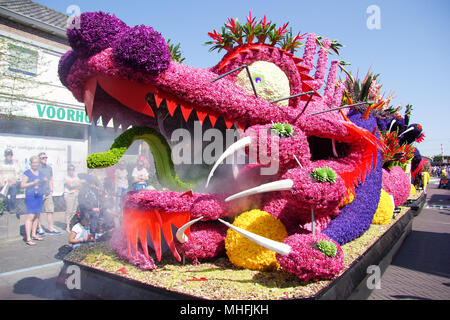 Une fleur flotter en passant par Voorhout, village de la célèbre parade des fleurs bloemencorso Holland en 2018 bollenstreek (sur le sujet de la culture mondiale) Banque D'Images