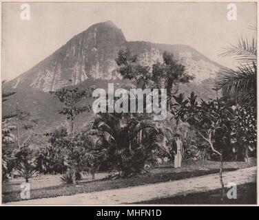 Jardins botaniques et Mt. Corcovado, Rio de Janeiro, Brésil Banque D'Images