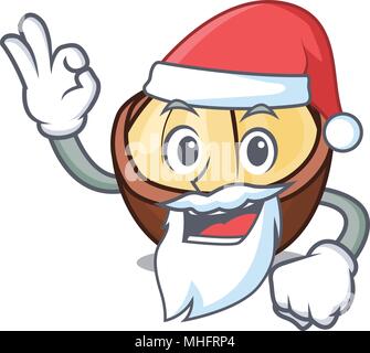 Macadamia mascot cartoon style Santa Illustration de Vecteur