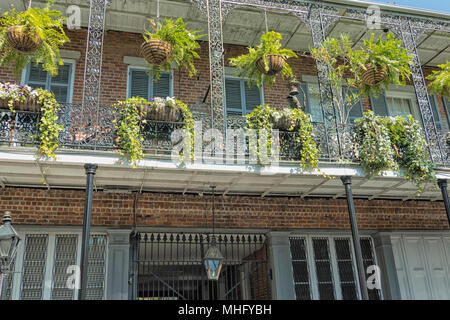 La pendaison des jardinières et les jardinières suspendues à un balcon en fer forgé dans le quartier français de La Nouvelle-Orléans, Louisiane Banque D'Images