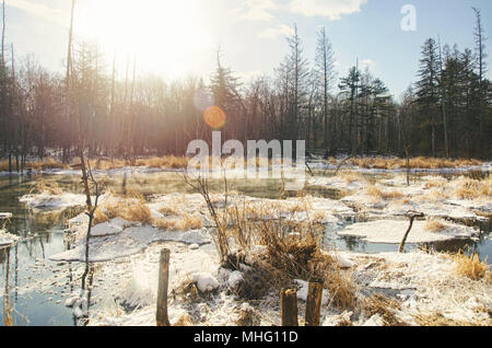 Foggy River dans 'Devil World' (Mojie Scenic Area) Banque D'Images