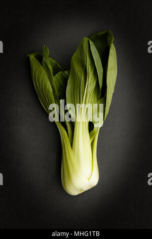 Seul le Bok Choy vert frais sur un fond foncé, ardoise savoureux ingrédients dans une cuisine de style asiatique. Banque D'Images