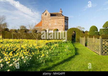 Felley jardins du Prieuré, Felley Prieuré, Underwood, Dorset, UK. Printemps, avril 2018. Banque D'Images