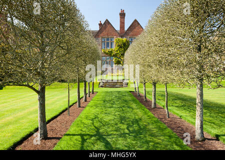 Felley jardins du Prieuré, Felley Prieuré, Underwood, Dorset, UK. Printemps, avril 2018. Banque D'Images