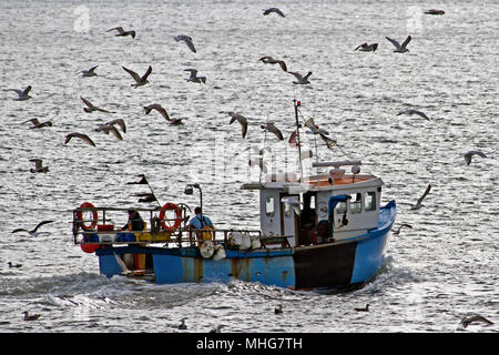 Un bateau de pêche, suivi d'un escadron de goélands, tête dans la mer du Nord à partir du port de Scarborough. Banque D'Images