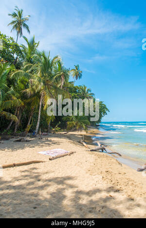 Playa Chiquita - plage sauvage à proximité de Puerto Viejo, Costa Rica Banque D'Images