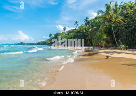 Playa Chiquita - plage sauvage à proximité de Puerto Viejo, Costa Rica Banque D'Images