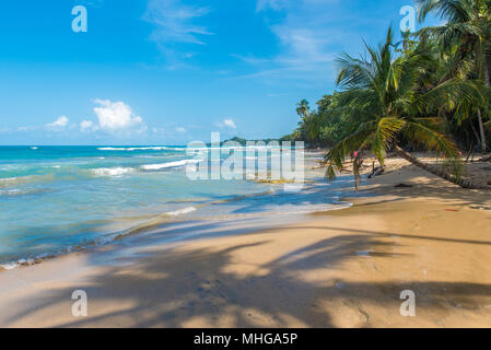 Playa Chiquita - plage sauvage à proximité de Puerto Viejo, Costa Rica Banque D'Images