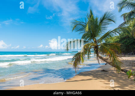 Playa Chiquita - plage sauvage à proximité de Puerto Viejo, Costa Rica Banque D'Images