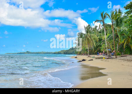 Playa Cocles - beautiful tropical beach près de Puerto Viejo - Costa Rica Banque D'Images