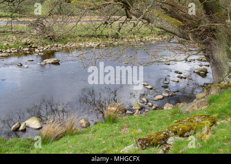 La rivière South Tyne pendant un printemps tranquille Banque D'Images