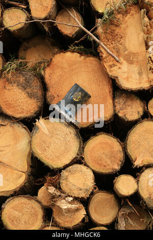 Un seul enfant's boot wellington perdu dans les bois, et à gauche sur une pile de journaux. Banque D'Images