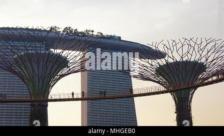 Singapour - APR 1st 2015 : Les Jardins à Supertree par la baie, l'hôtel de luxe Marina Bay Sands dans l'arrière-plan pendant le coucher du soleil Banque D'Images