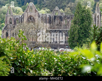 Abbaye de Tintern, vallée de la Wye, Monmouthshire Banque D'Images