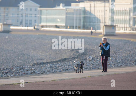 Une femme s'arrêtant sur une promenade le long de la promenade côtière à Llandudno pour prendre une photo de son chien avec les nombreux hôtels, maisons d'hôtes et B&B's Banque D'Images