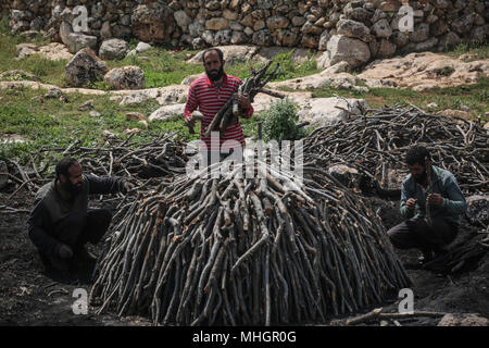 Le gouvernorat de Kafr Kila, Idlib, en Syrie. Apr 28, 2018. Syriens trier bois de chêne pour la fabrication du charbon dans le gouvernorat de Kafr Kila, Idlib, Syrie, 28 avril 2018. Les gens de Kafr Kila, une ville principalement habitée par les caractère ethnoreligieux groupe des druzes, a été la pratique de l'agriculture et de la fabrication du charbon pour des dizaines d'années. Credit : Anas ALkharboutli/dpa/Alamy Live News Banque D'Images