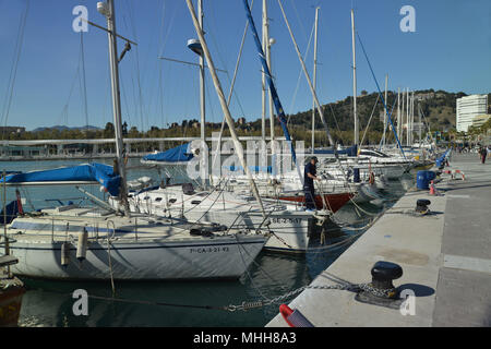 Voiliers dans le port, Malaga, Andalousie, Espagne Paseo del Muello Uno Port de Malaga Banque D'Images