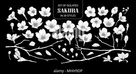 Ensemble de silhouette blanche isolée sakura dans 38 styles. Cute vector illustration fleur dessiné à la main en avion blanc sans contours sur fond noir. Illustration de Vecteur