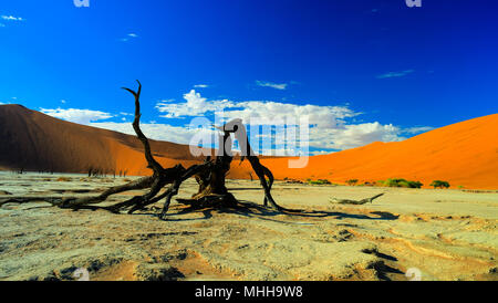 Deadvlei dans Namib-Naukluft national park, Sossusvlei, Namibie Banque D'Images