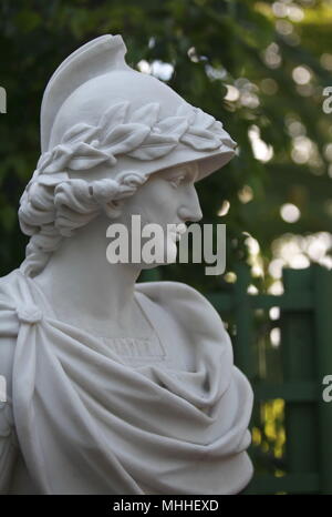 Buste d'Alexandre le Grand. Situé dans le jardin d'été à Saint-Pétersbourg, Russie Banque D'Images