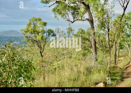 Vues de Townsville du mont Stuart des sentiers de randonnée, Townsville, Queensland, Australie Banque D'Images