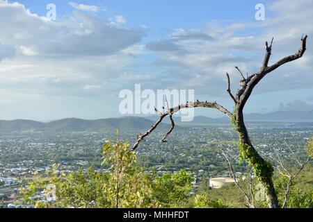 Vues de Townsville du mont Stuart sentiers de randonnée avec arbre mort au premier plan, Townsville, Queensland, Australie Banque D'Images