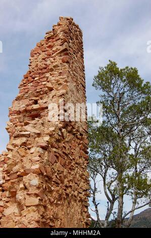 Un mur du château à côté de l'arbre Banque D'Images