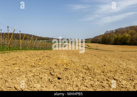 Une belle prairie pleine de fleurs de cerisiers dans Markgräferland. La région est connue pour ses vignobles amd souvent appelé par les Allemands la Toscane de Ge Banque D'Images