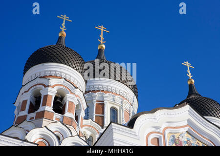 Aleksander Nevski Cathedral, Cathédrale de Toompea (Hill) : les dômes en oignon Banque D'Images