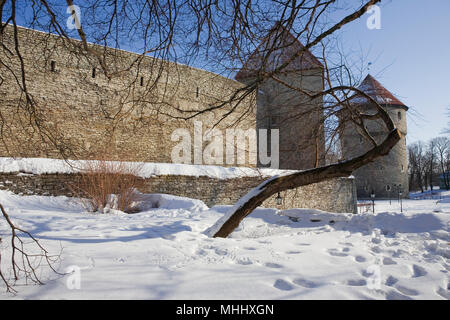 Deux tours qui gardaient la haute ville connu sous le nom de PEP dans la cuisine et le tour de la jeune fille (Kiek in de Kök et Neitsitorn), Tallinn, Estonie Banque D'Images