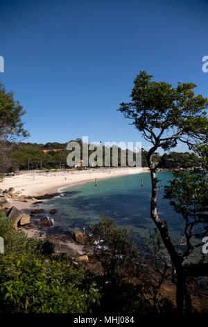 Shark Bay nielsen park Sydney Harbour national park vaucluse sydney New South Wales australie Banque D'Images