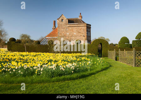 Felley jardins du Prieuré, Felley Prieuré, Underwood, Dorset, UK. Printemps, avril 2018. Banque D'Images