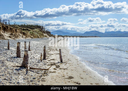 Une belle vue de la plage Llanddwyn Newborough sur Anglesey, au nord du Pays de Galles, avec les montagnes de Snowdonia en arrière-plan. Banque D'Images