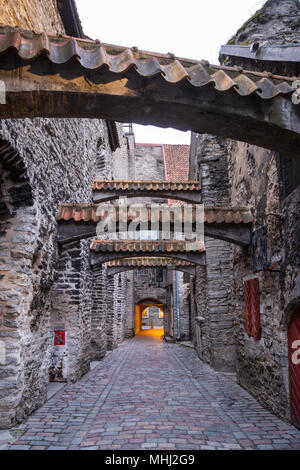 Avis de passage de St Catherine, vieille ville de Tallinn, Estonie Banque D'Images