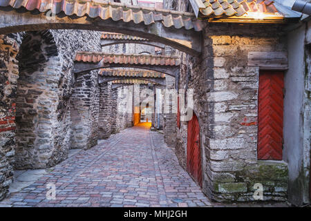Avis de passage de St Catherine, vieille ville de Tallinn, Estonie Banque D'Images