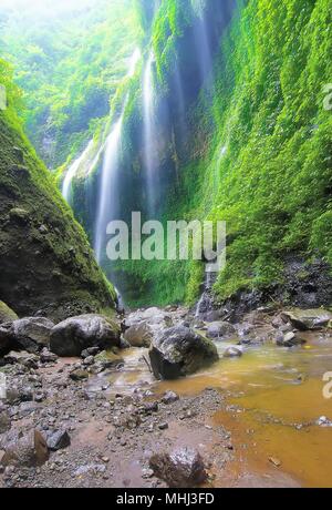 Madakaripura Cascade est la plus haute cascade dans Java et la deuxième plus haute cascade dans l'Indonésie. Banque D'Images