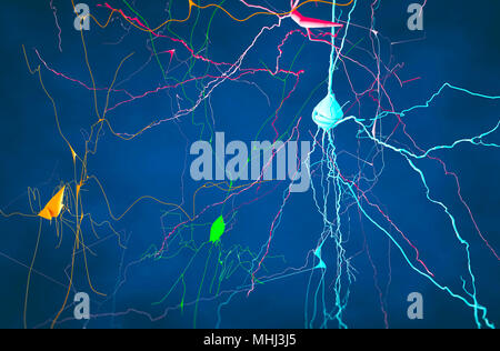 Cerveau, neurones, synapses, neurones de circuit de réseau neuronal, les maladies dégénératives, Parkinson, rendu 3D Banque D'Images