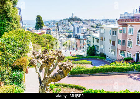 D'un grand angle de vue à l'horizon de San Francisco Lombard Street en direction de San Francisco Bay, au centre-ville de North Beach community montrant Fisherman's Wharf et Co Banque D'Images